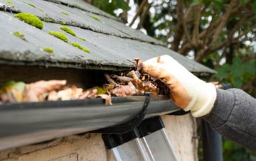 gutter cleaning Nether Compton, Dorset