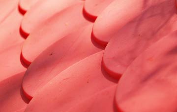 Nether Compton plastic roof costs